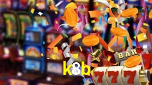 Premium Interface k8b
